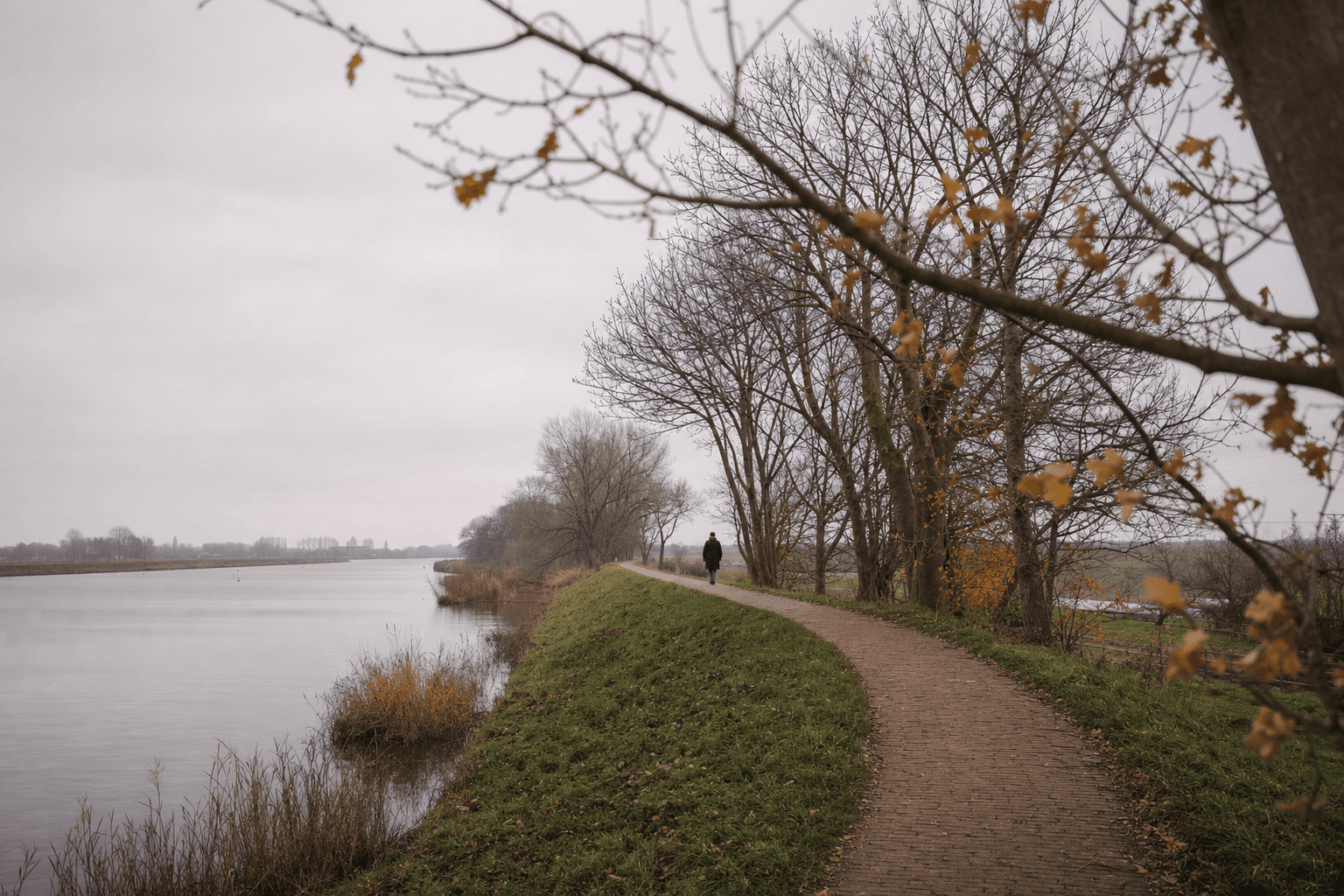 Stille winterse Nederlandse polder onder grijs licht, kale bomen langs een dijk, een enkele wandelaar in de verte